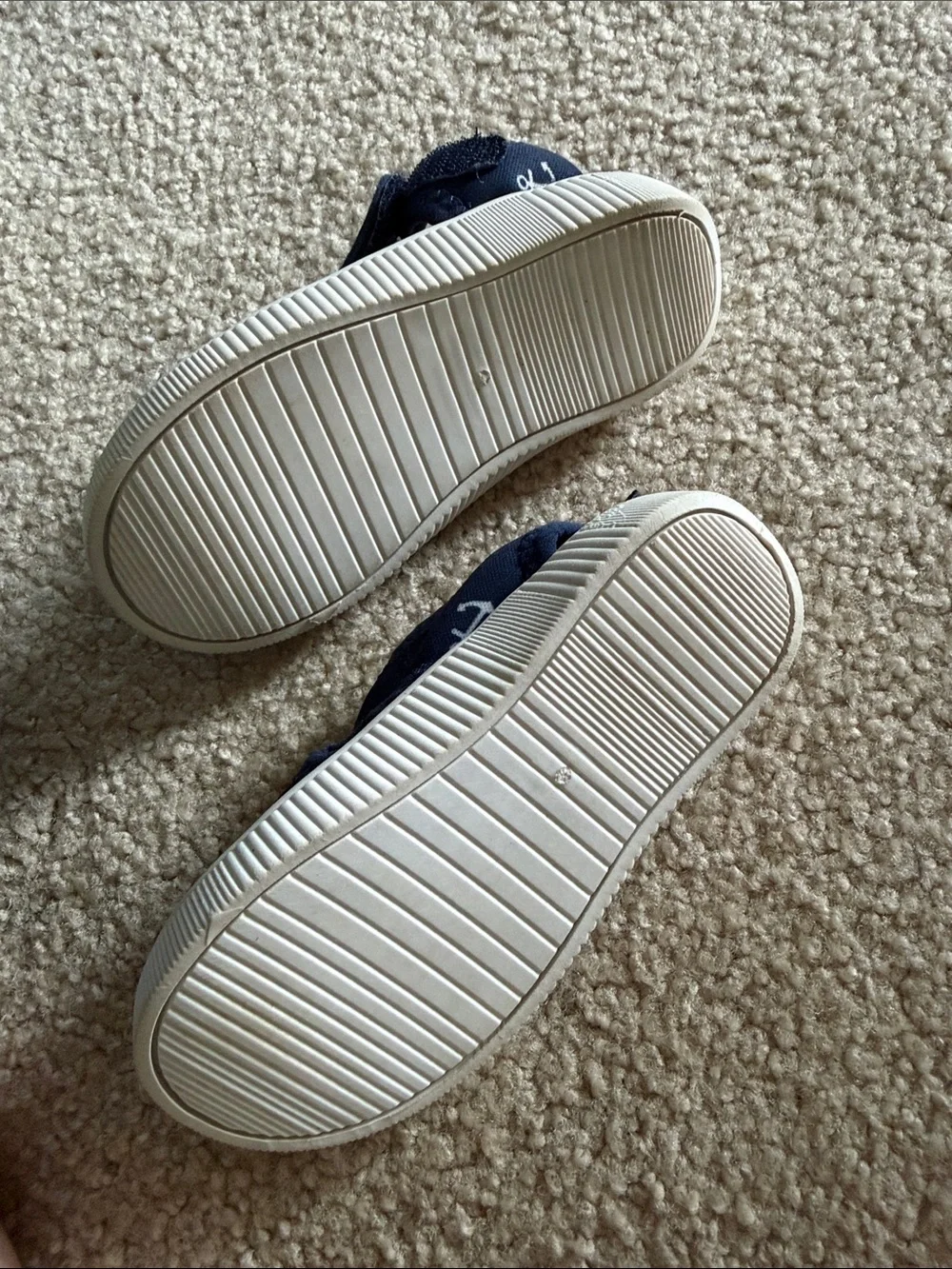Hudson Baby navy canvas